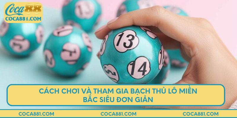 Cách chơi và tham gia bạch thủ lô miền Bắc siêu đơn giản