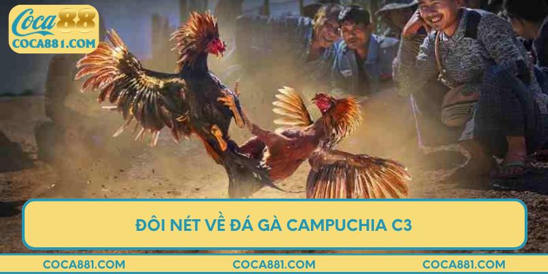 Đôi nét về đá gà Campuchia C3