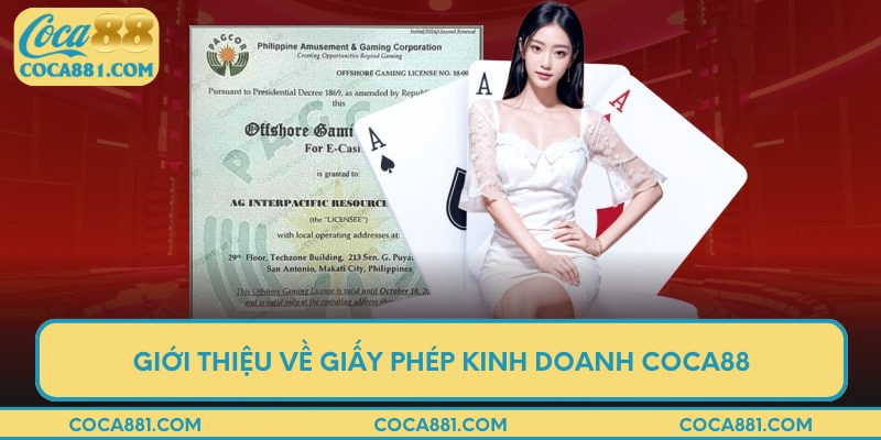 Giới thiệu sơ về giấy phép kinh doanh của nhà cái COCA88