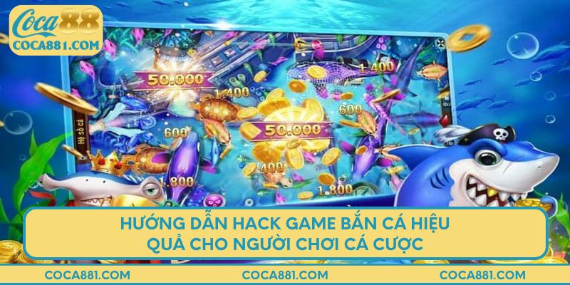 Hướng dẫn hack game bắn cá hiệu quả cho người chơi cá cược