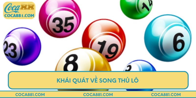 Khái quát về song thủ lô là gì