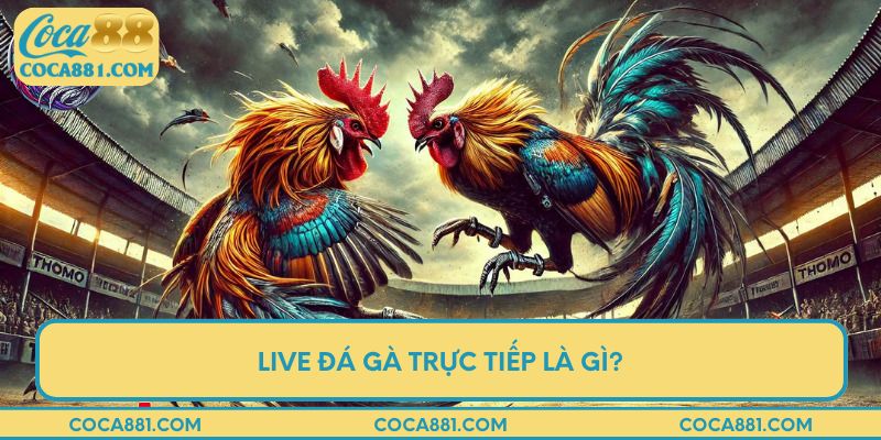 Live đá gà trực tiếp là gì?