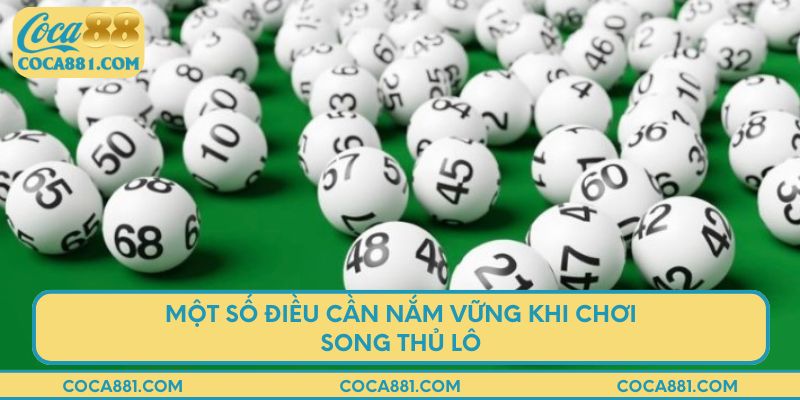 Một số điều cần nắm vững khi chơi song thủ lô tại coca88