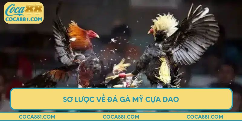 Sơ lược về đá gà Mỹ cựa dao