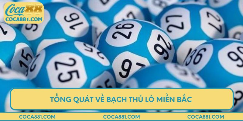 Tổng quát về bạch thủ lô miền Bắc