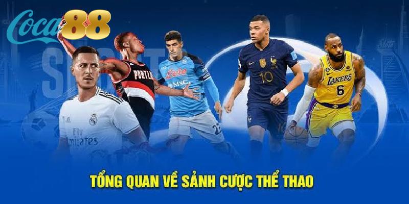 Giới thiệu tổng quan về sảnh thể thao tại nhà cái